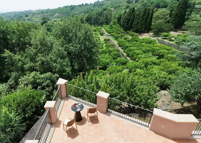 Tenuta Della Contea