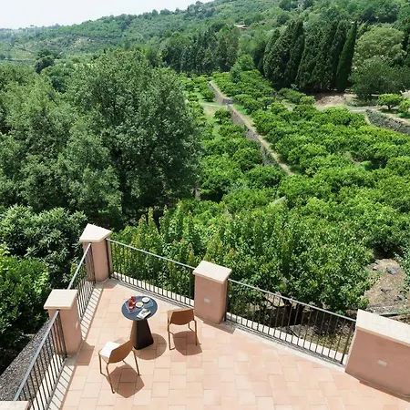 Tenuta Della Contea